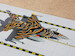 F16C Fighting Falcon USAF, Colorado ANG. "Tiger"