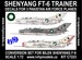 Shenyang FT-6 (Pakistan)