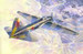 Ilyushin IL2 "Gorbatsij"