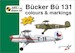 Bücker Bü131 Jungmann  Colours & Markings + decals