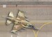 Airbase Tarmac sheet IDF/AF Airbase