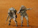 US Army UH60 Airborne Crew I