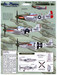 Green Nose Mustangs of East Wretham Part 1 (P51C/D)