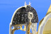 Detailset Spitfire MKXVI (Italeri)