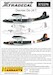 Dornier Do24T