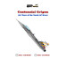 Centennial Gripen (JAS39)