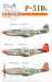 P15D Mustang part1