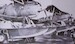 Heinkel He60 Transport carriage