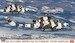 Bell AH1s Cobra and UH1H Iroquois "JGSDF Winter Camouflage" (2 kits included)
