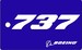 Bagagetag with 737 on one side and writable backside, including metal wire