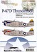 48-1236 P47D Thunderbolt Bubbletops (395FS & 397FS 386FG)