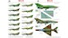 Mikoyan MiG21UM Fishbed (Russia, Bulgaria,Vietnam, Germany, East Germany)