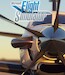 Flight Simulator 2020 (Expected release 2020)