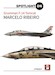 Grumman F14 Tomcat