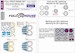 Full house Masking set for English Electric Lightning T MK5 (Sword)