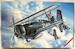 Curtiss BF2C Hawk III