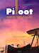Piloot met de vijf strepen