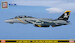 Grumman F14B Tomcat "VF103 Jolly Rogers 2002" with Patch