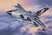 Panavia Tornado ECR "Tigermeet 2007/2008"