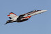 F/A18C Hornet "VFA94 Mighty Shrikes"