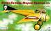 Morane Saulnier I