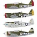 Republic P47D Thunderbolt Razorback (1 kit included)