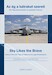 Sky likes the Brave, history of the HDF Pápa Air Base and its predecessors
