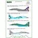 Asian Fulcrums Part 1 with resin IFR probe