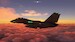 DC Designs F-14 A/B Tomcat (download version)  J3F000301-D image 21