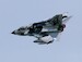 Panavia Tornado IDS "Black Panthers"