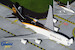 Boeing 747-8F UPS N606UP Interactive Series