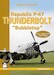 Republic P-47 Thunderbolt Bubbletop