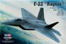 F22 raptor