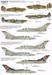 RAF no 111squadron History