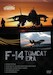 F-14 Tomcat ERA