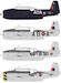RCN TBM3/AS3 Avenger Conversion set