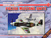 Polish Mustang Units. Polish Wings HQ and No 303,306,309,315 and 316 squadron in Britain