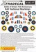 Battle of Britain 75th anniversary RAF Mational Markings