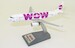 Airbus A320neo WOW Air LZ-WOW With Stand