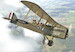 De Havilland DH-9A 'RAF'