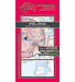 VFR aeronautical chart Ireland 2020