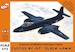 Curtiss XP87 Black hawk
