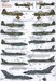 RAF No 2 Squadron History 1920-2002