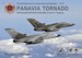 Panavia Tornado IDS/ECR (Luftwaffe) in the 21st Century