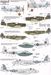 The History of RAF No19sq (Gauntlet, P51, Spitfire, Hornet, Meteor, Hunter, F4)