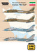 The Last Active Tomcats - Iranian "Alicat"
