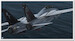 F-14 Extended ( Download version)  4015918128056-D image 38