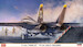 Grumman F14A Tomcat "VF84'Jolly Rogers'"