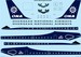Douglas DC8-63F (Overseas National Airways)