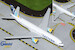 Boeing 777-200ER Eastern Airlines N771KW flaps down